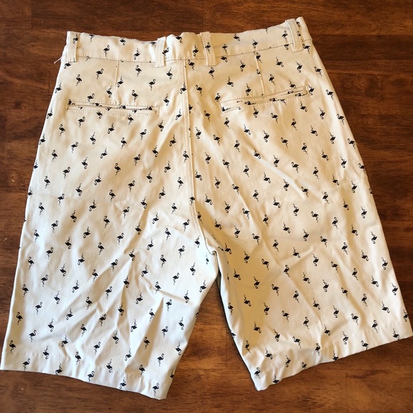 Khaki Shorts - Picture 2 of 3